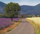 9 jours Provence: circuit avec séjour dans de charmants 